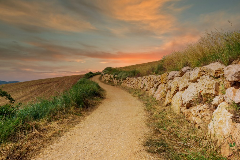 A pastel-hued sunrise over a winding dirt path next to a rock wall