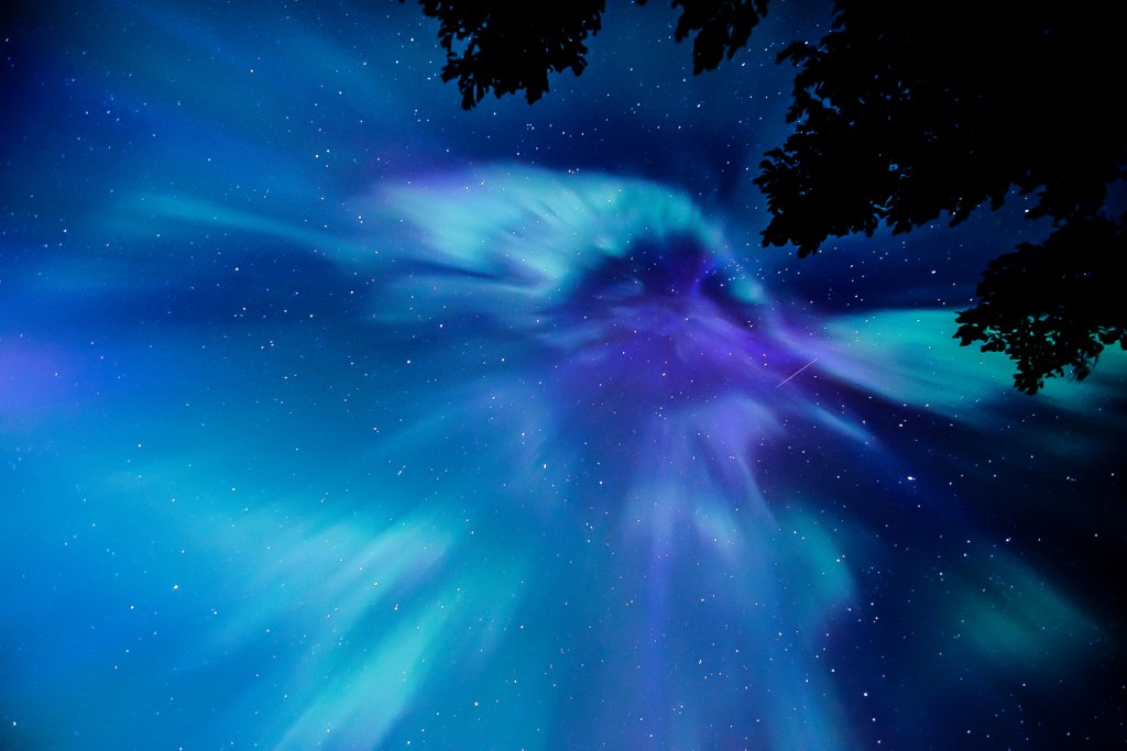 a view looking straight up into the stars with cool blue northern lights winding above a shadowy tree canopy 