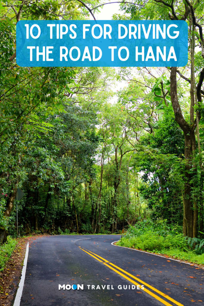 image graphic of a road winding through lush green trees with heading text overlaid and moon logo at the bottom