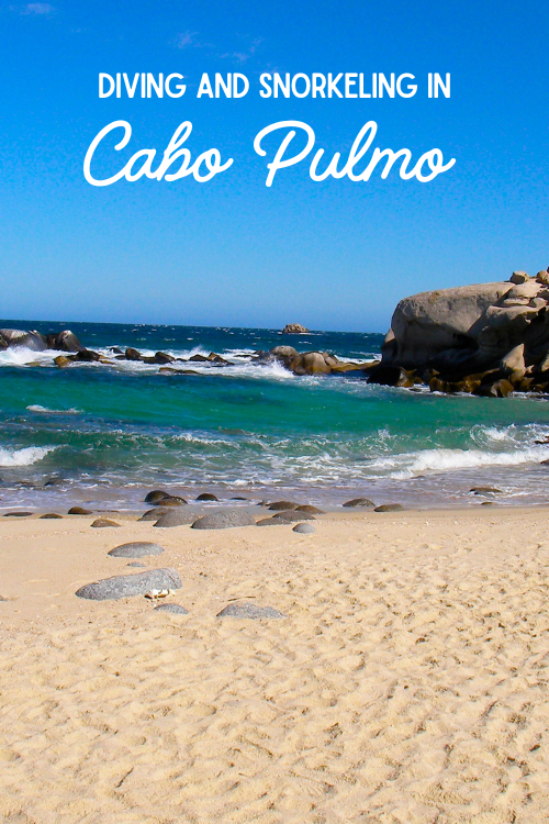 yellow sand beach with rocky green ocean waves