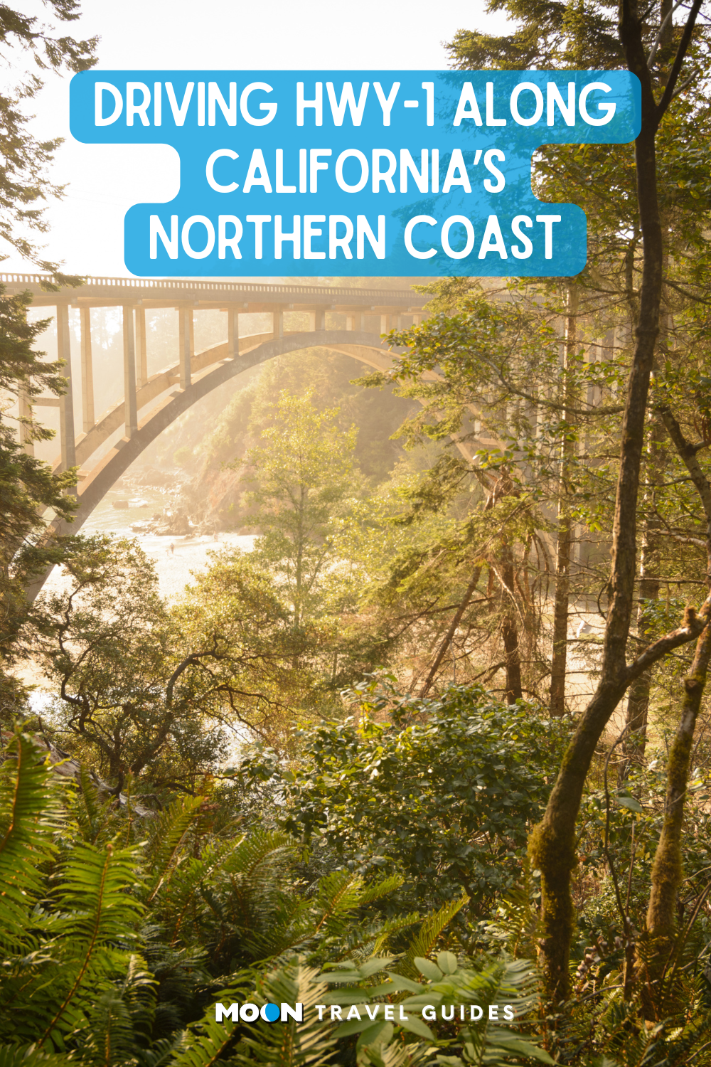 for pinterest: image graphic of a misty treeline and large bridge in the distance with heading text overlaid and moon logo at the bottom
