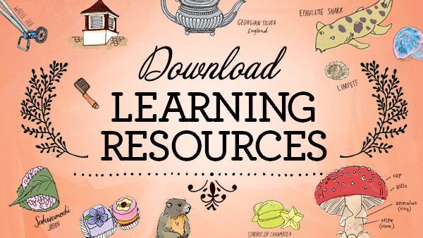 Download Learning Resources