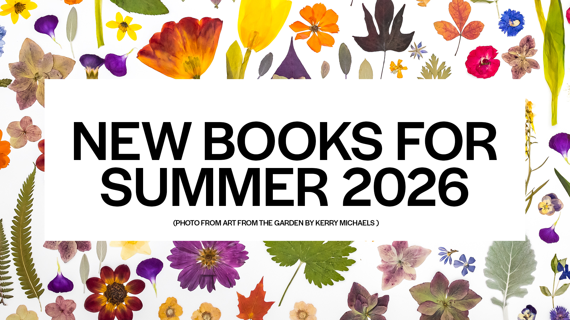 New Books for Summer 2036 | Hachette Book Group