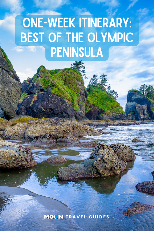 for pinterest: a rocky beach with a mossy peninsula in the background