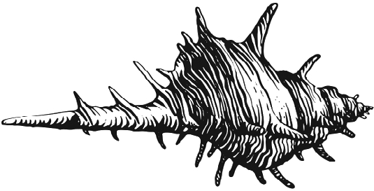 Seashell Ornament from Endless Blue Beneath by Shannon K. English