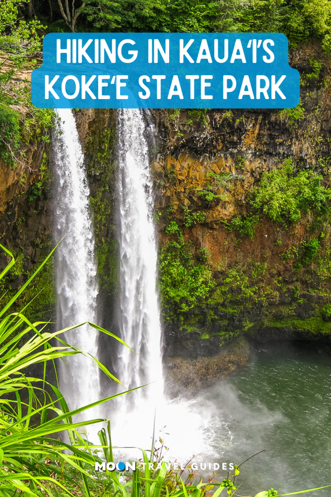 for pinterest: image graphic of a waterfall with lush mossy cliff walls surrounding it (heading text overlaid and moon logo at the bottom)