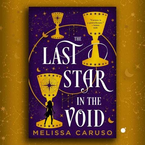 The Last Star in the Void by Melissa Caruso