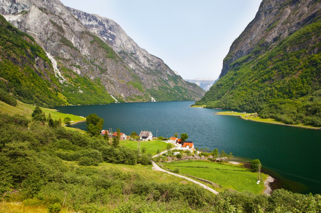 A cluster of red-roofed houses perched on lush hill next to dramatic fjord.