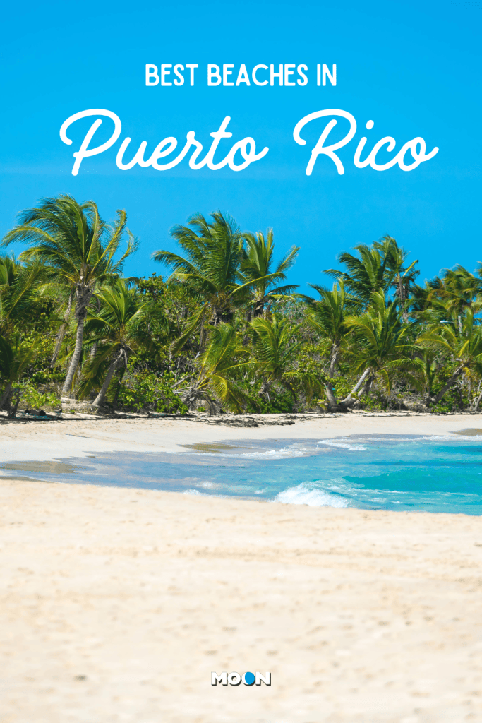 for pinterest: image of beach and palm trees with heading text of article