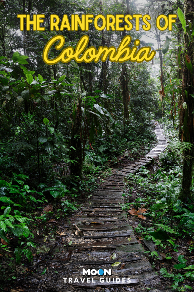 image of a rainy wooden path through a lush forest with yellow text saying "The Rainforests of Colombia"