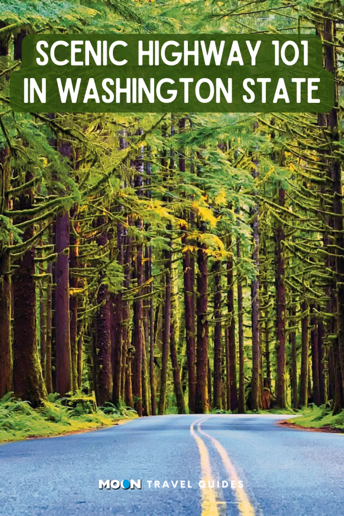 for pinterest: image graphic of mossy lush trees lining a shaded road with heading text overlaid and moon logo at the bottom