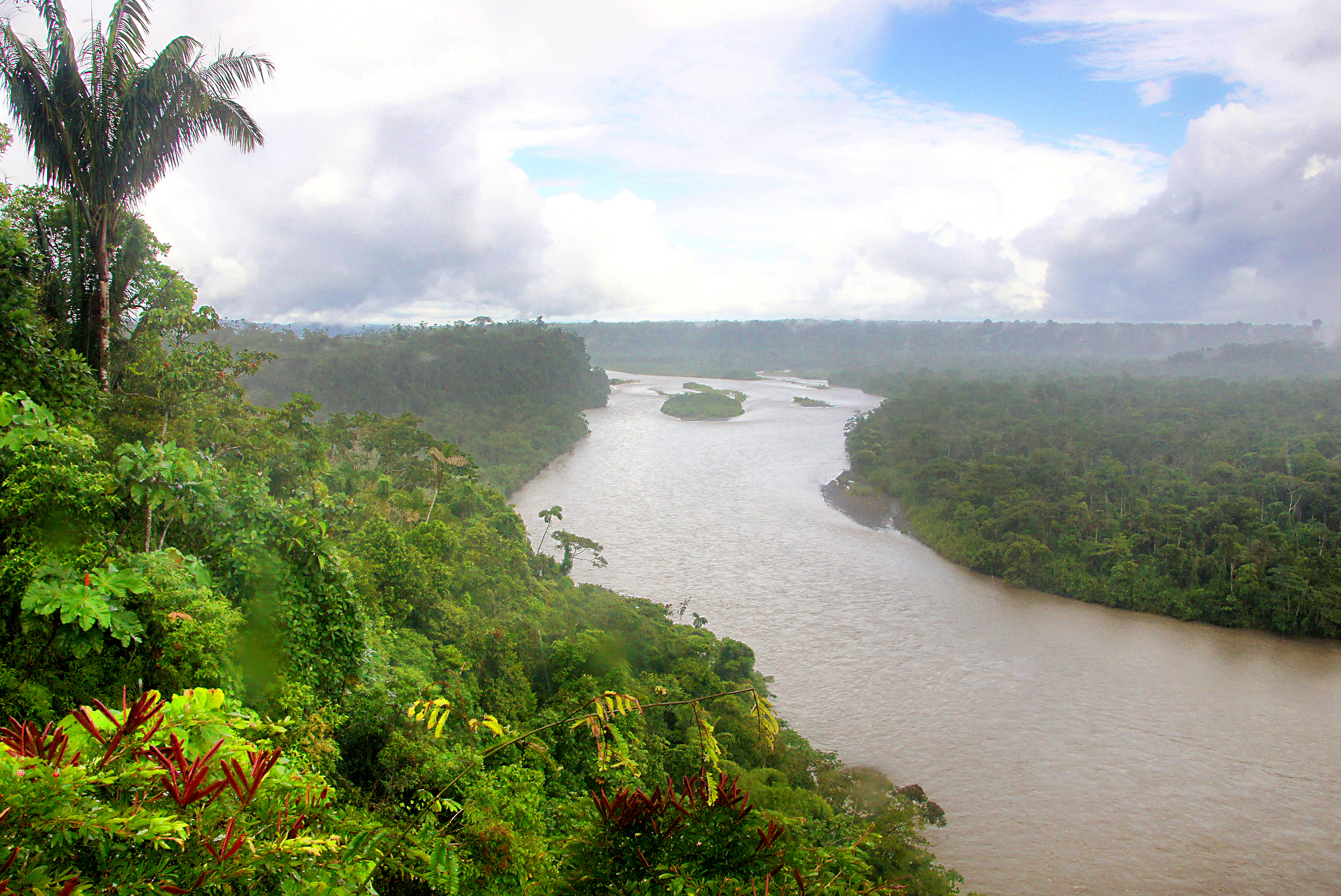The Rainforests of Colombia | Moon Travel Guides
