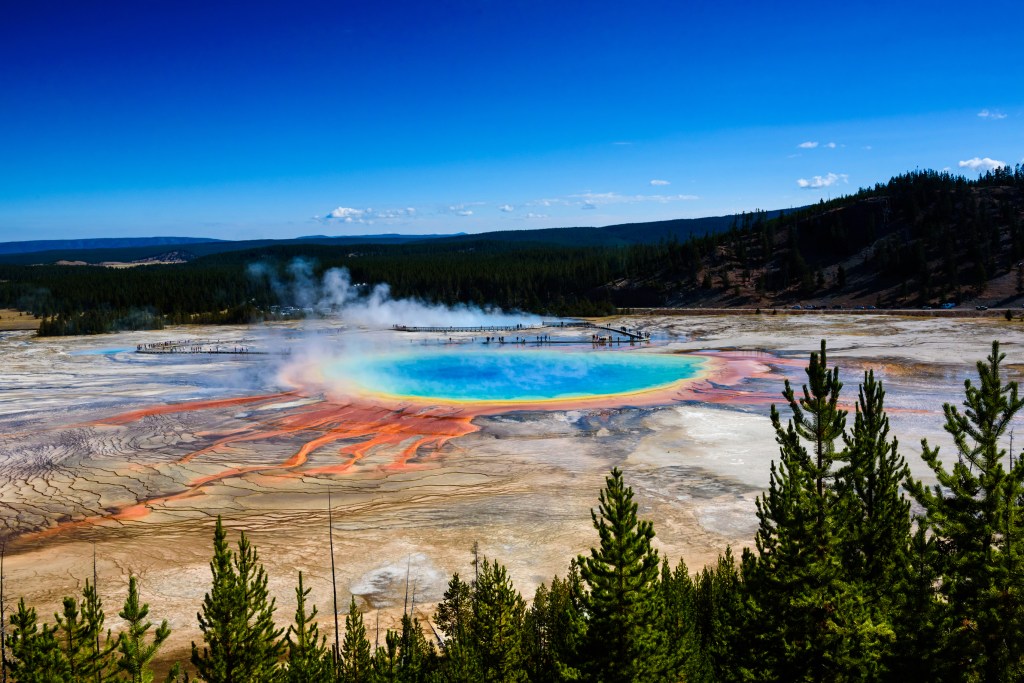 Image of geyser basin from overlook