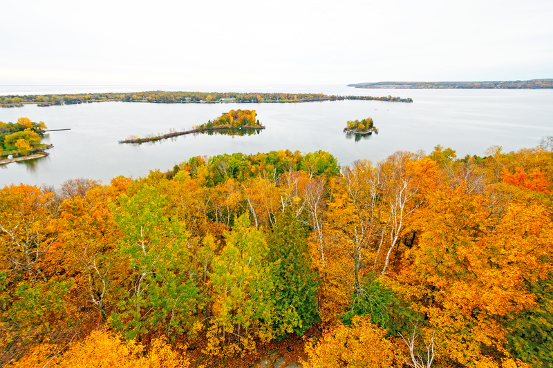 fall foliage trees on the coast of a calm bay with islands in the center