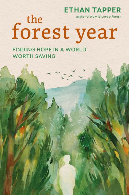The Forest Year