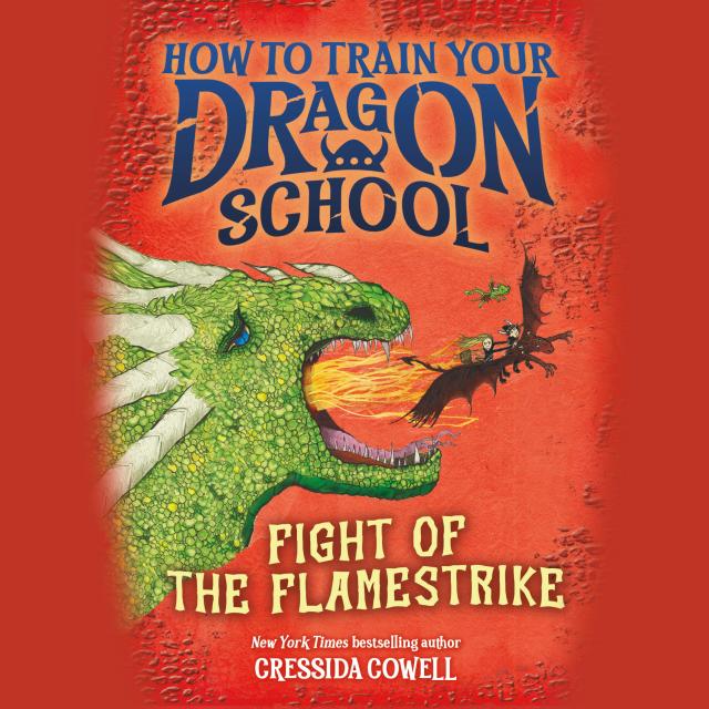 How to Train Your Dragon School: Fight of the Flamestrike