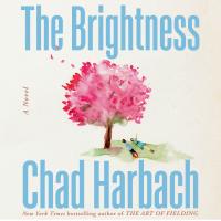 The Brightness