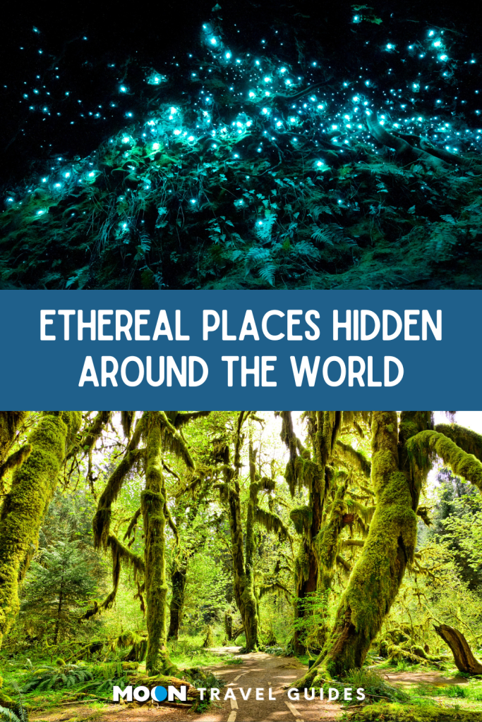 pin graphic with article title displayed in the middle of 2 images: above bioluminecent worms in a dark cave, below a moss covered forest path