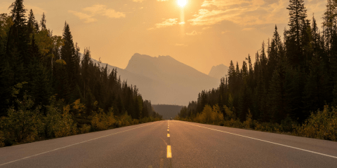 Road-trip