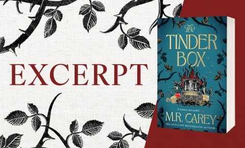 Excerpt from The Tinder Box by M. R. Carey