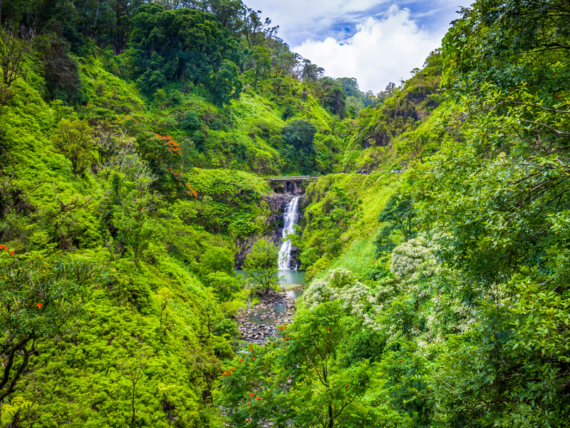 A waterfall in the distance in a wide, vibrant lush valley
