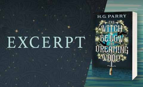 Excerpt from The Witch Below the Dreaming Wood by H. G. Parry