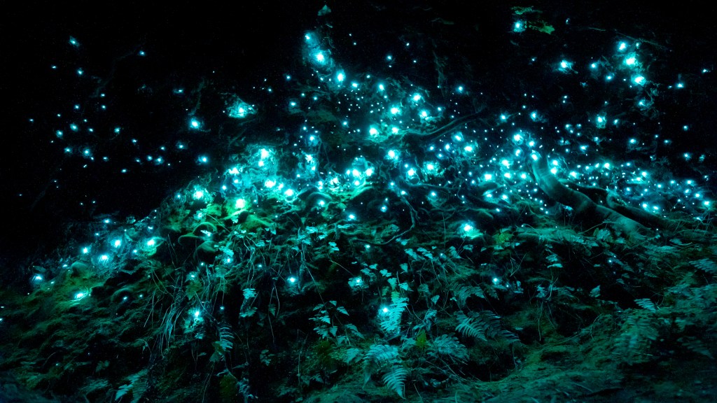 bioluminescent worms glowing a cool blue while clustered along the walls and floor of a dark cavern