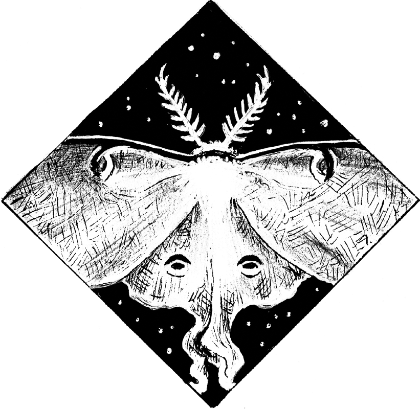 THE WINTER FOLK by Jen Julian Ornament of Moth