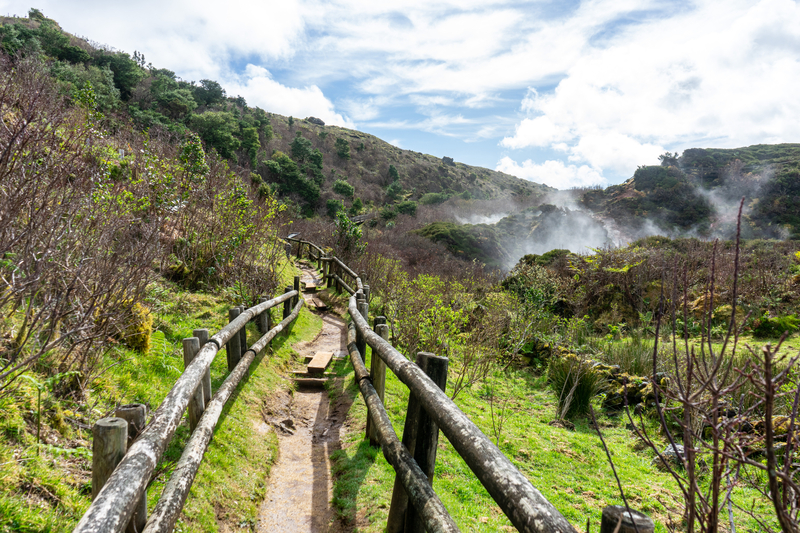 A narrow dirt path lined with wooden handrails leading through landscape of thick brush and trees with steam rising from fumaroles