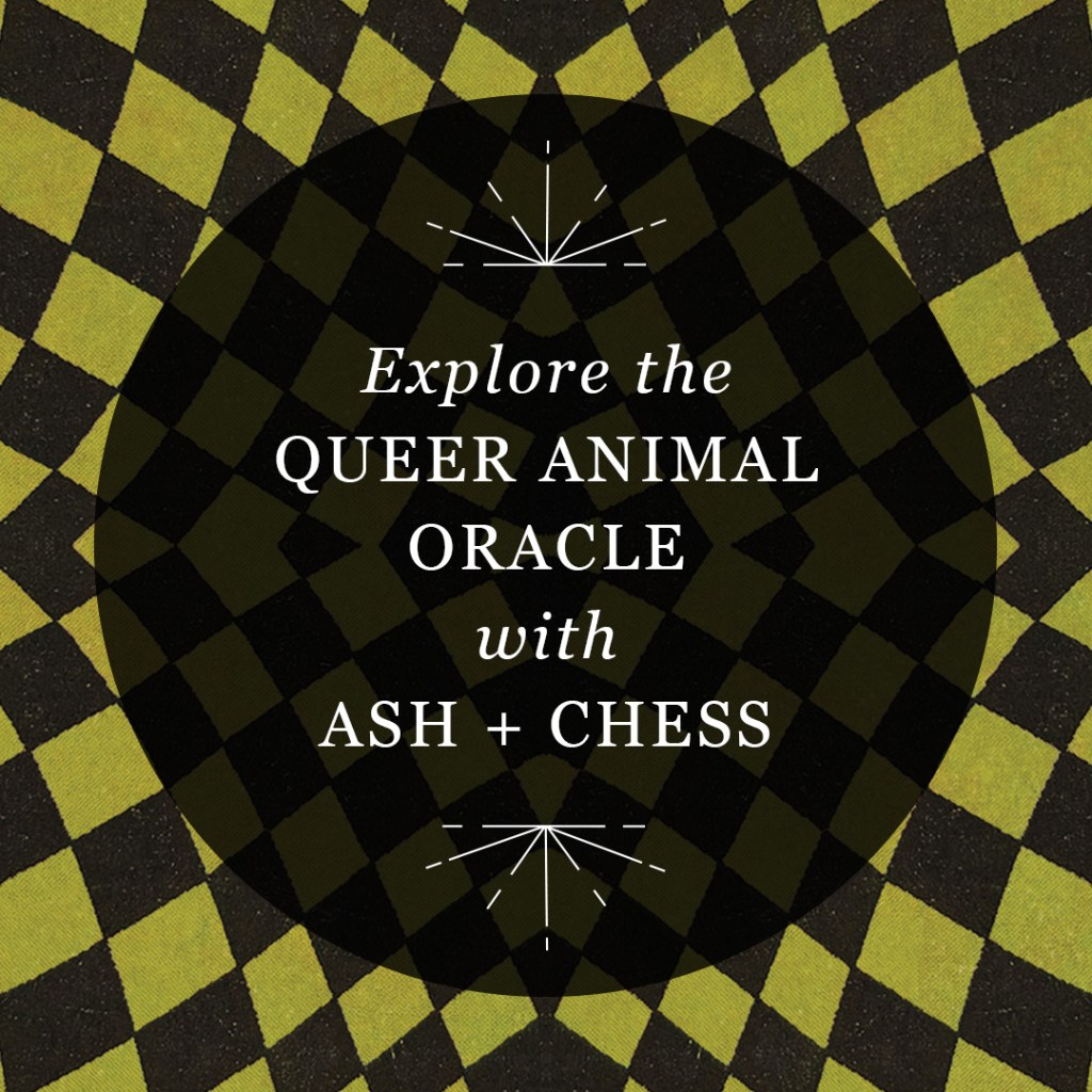 Explore the Queer Animal Oracle with Ash + Chess