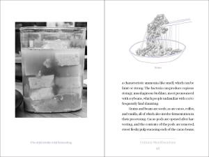 Fermentation