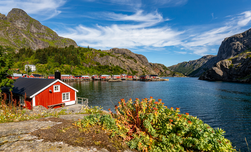 A small village of red wooden houses on the edge of a fjord.