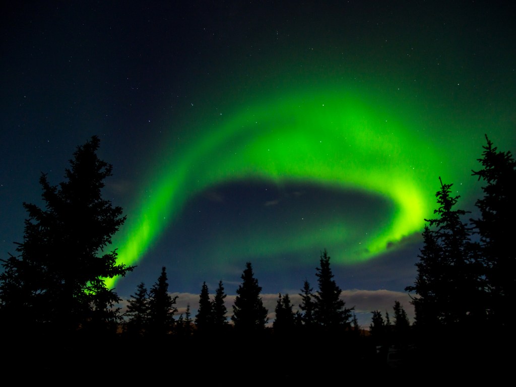 A swirl of green lights in the nighttime sky above a forest of trees