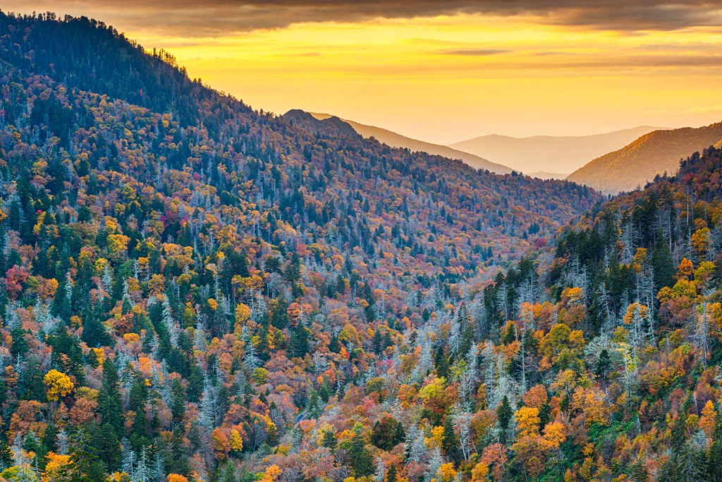 Fall foliage trees on mountains at sunset