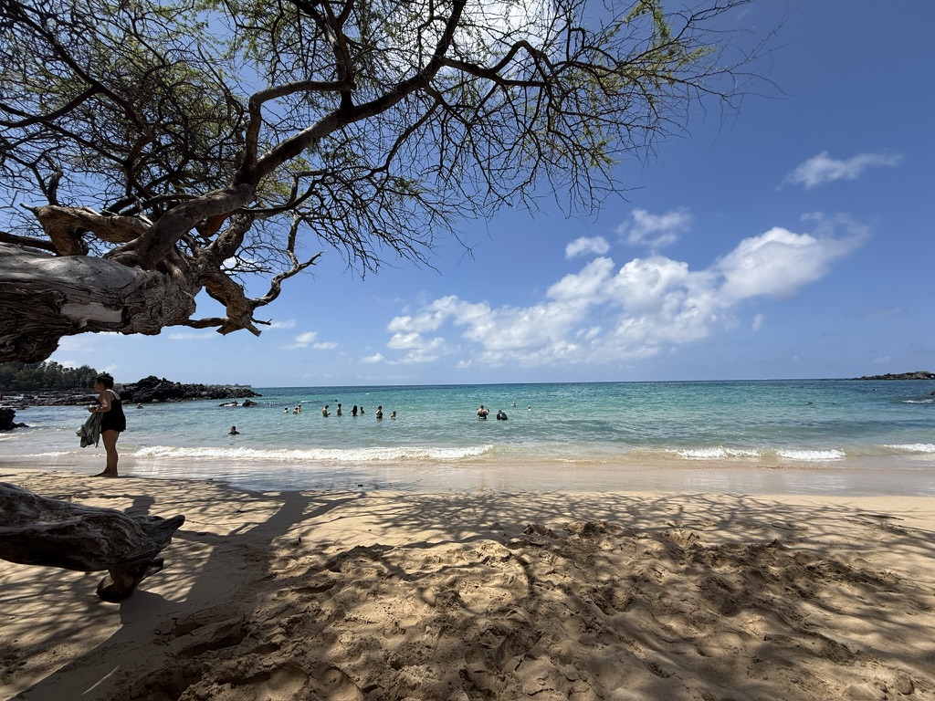 The beach on Waialea Bay