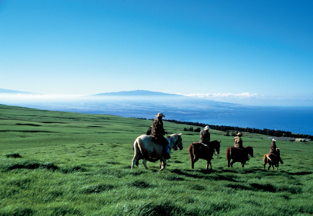 Four horseback riders with the Maunakea volcano in the distance