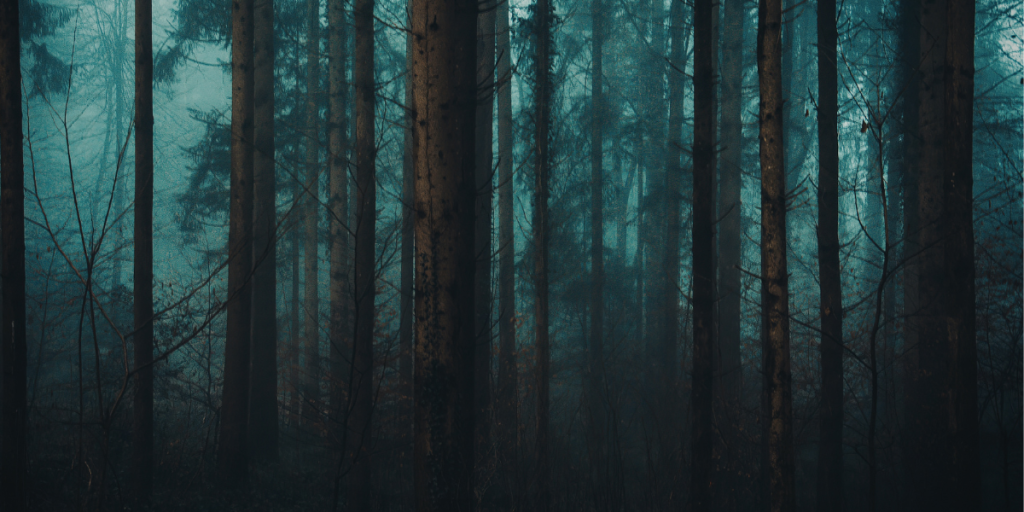 Eerie forest