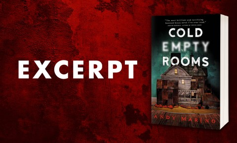 Excerpt from COLD EMPTY ROOMS by Andy Marino